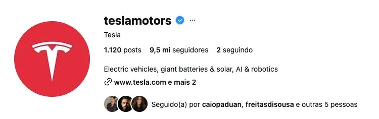Perfil da Tesla